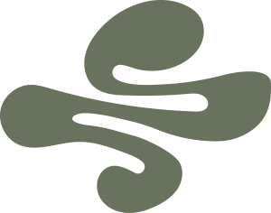 Samasti