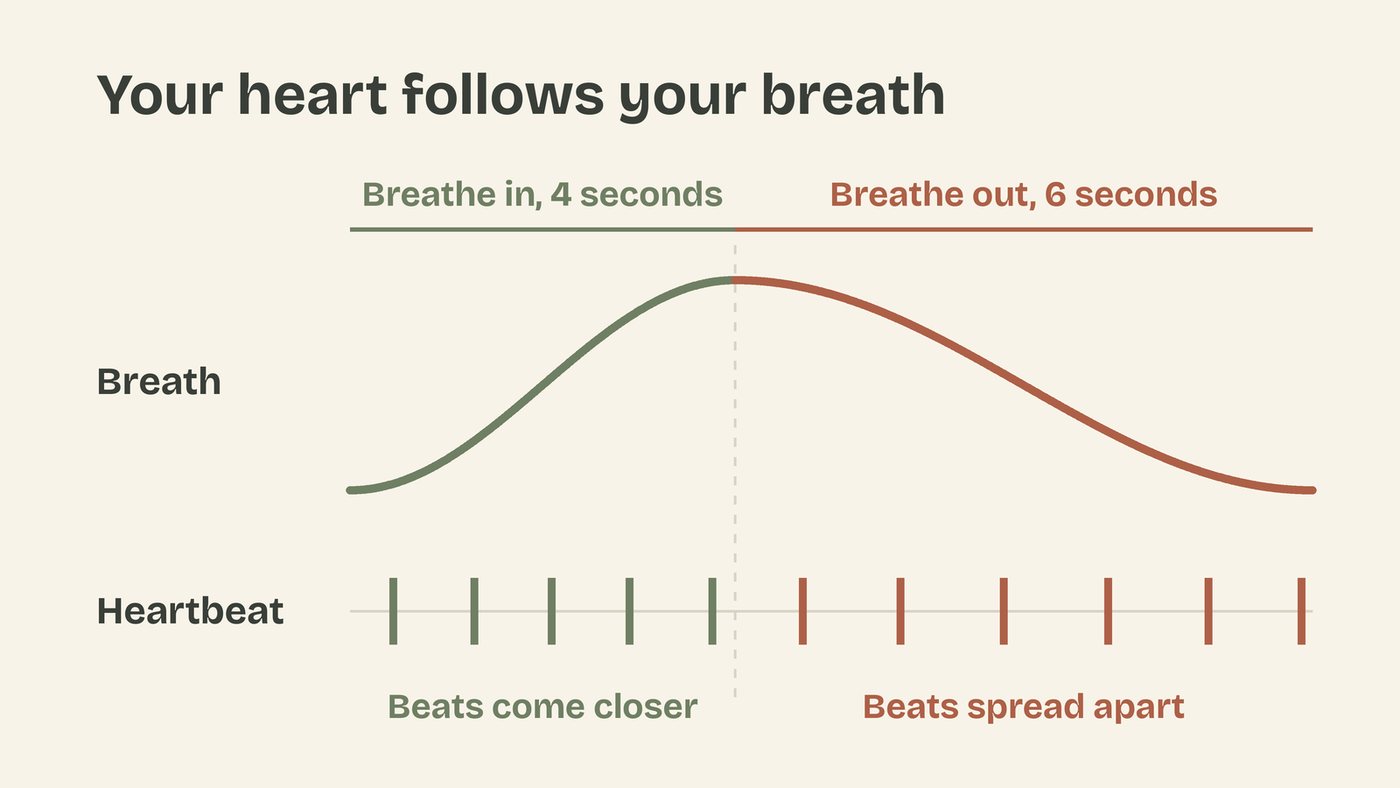 A slow breath rises over four seconds and falls over six. Heartbeat marks sit closer together during the in breath and further apart during the out breath.