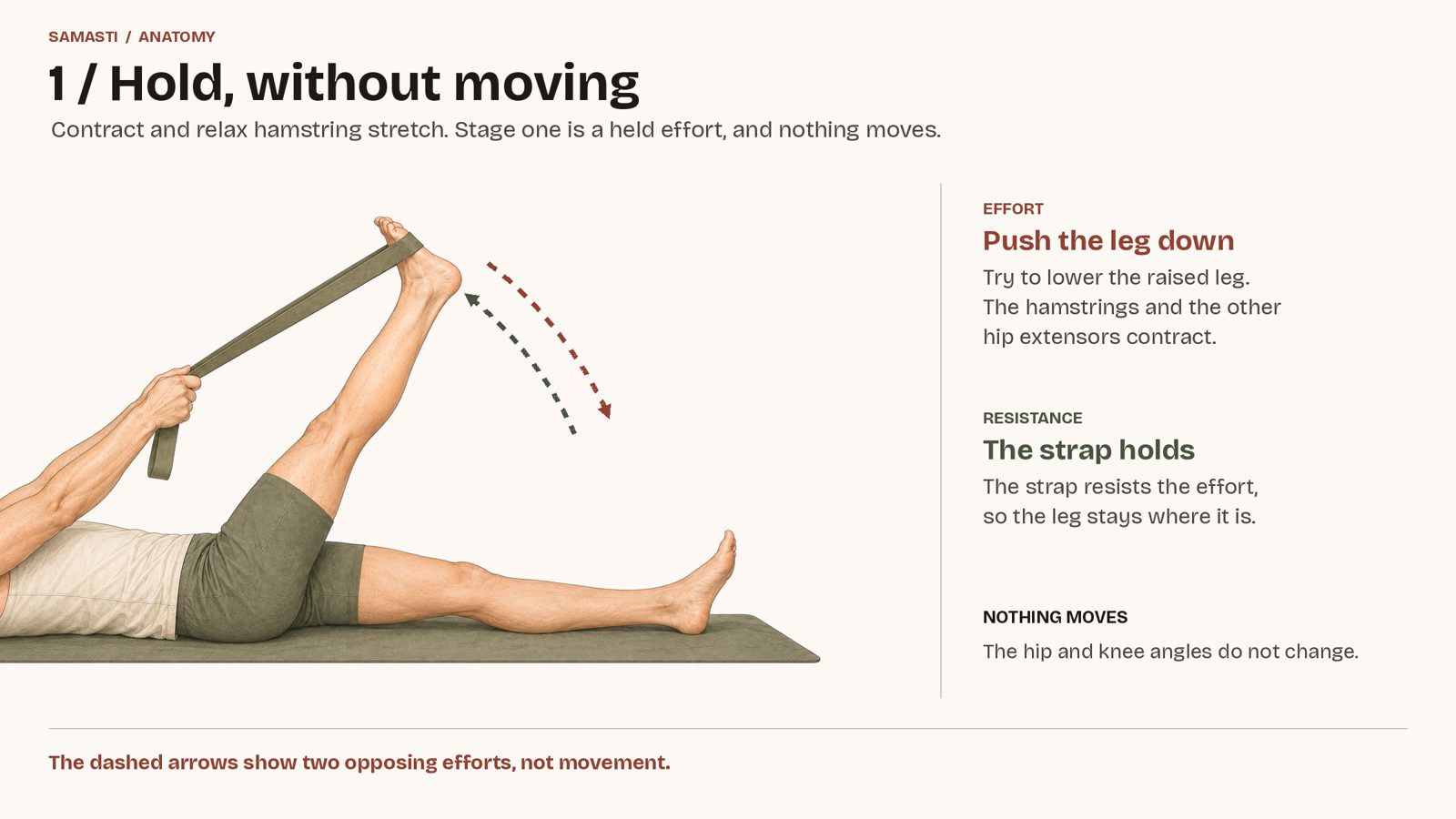 Stage one of a contract and relax hamstring stretch: lying on the back with a strap around one raised foot, pushing the leg down against the strap while nothing moves